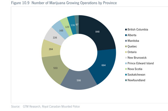 canadian marijuana grow ops