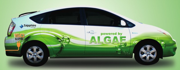 algaeus-a-2008-toyota-prius-plug-in-hybrid-conversion-running-on-biofuel-blended-from-algae_100228269_m