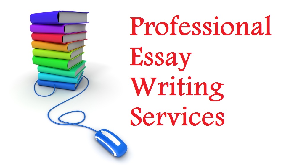 Professional-Essay-Writing